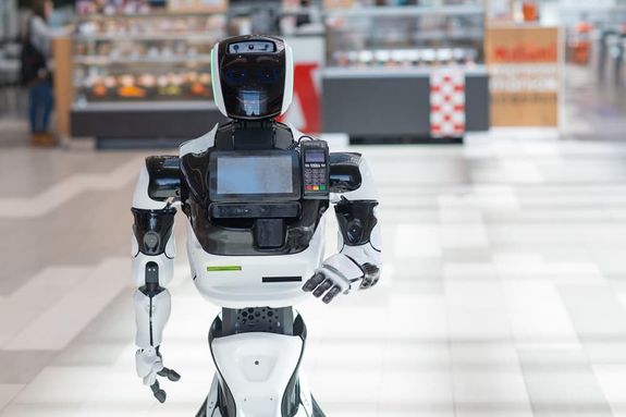 wie funktionieren robo-advisor